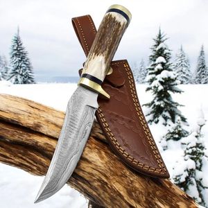 Couteaux de chasse haut de gamme pour l'extérieur avec lame de style Damas, manche en bois, rivets en laiton et étui en cuir pour le camping - Product Image 1