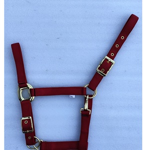 Halter de Nailon de Alta Calidad para Caballos y Mulas con Correa a Juego, Resistente, Duradero y en Colores Vibrantes, Disponible en Todos los Tamaños - Product Image 1