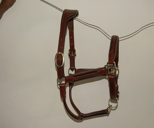 En gros, Halter pour cheval en cuir à corde, design personnalisé, rembourrage doux, ferrures en alliage, durable et confortable, pour sports équestres ERHNH-0089 - Product Image 5