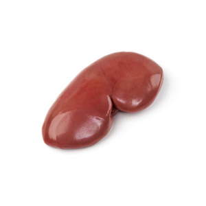 ไตหมูแช่แข็งจากโรงงานโดยตรง พร้อมจัดการและขนส่งได้อย่างรวดเร็ว - Product Image 3