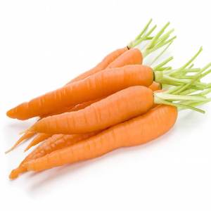 Aceite Esencial de Semilla de Zanahoria |   Proveedor al por Mayor de Aceite de Daucus Carota Premium, Fabricante de Marca Privada OEM - Product Image 5