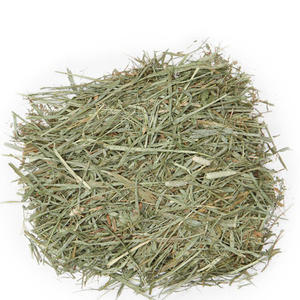 Heno de Timothy para Alimentación Animal, Heno de Pasto de Alta Demanda, Suministro al por Mayor a Nivel Mundial - Product Image 4