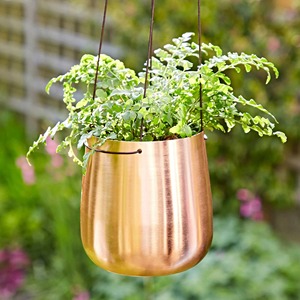 Jardinière murale simple en métal finition cuivre pour la décoration de cuisine, entrée, balcon, fenêtre et jardin - Product Image 2