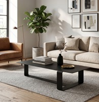 Table basse rectangulaire moderne en acier inoxydable noir, durable et minimaliste, meubles de salon de luxe