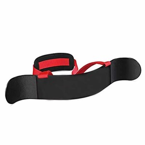 Arm Blaster Printed Weight Lifting Bicep Isolation Support Trainer Adjustable Fitness <b>Strength</b> <b>Training</b> Gym Exercise Tool - Product Image 1