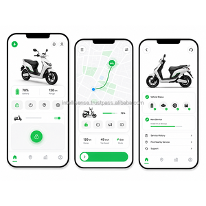 Desarrollo de Aplicaciones de Alquiler de Bicicletas Eléctricas para Operaciones Empresariales Eficientes con Análisis y Reportes Potentes, Bicicleta Eléctrica Personalizada - Product Image 1