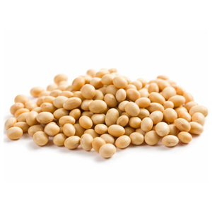 Soja jaune non-OGM de qualité export / Grains de soja de qualité supérieure pour les importateurs de soja - Product Image 4
