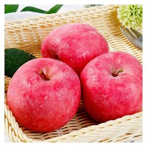 Pommes rouges Fuji fraîches de ferme naturelle, exportateur en gros, pommes de qualité supérieure pour la vente au détail et les supermarchés - Product Image 3