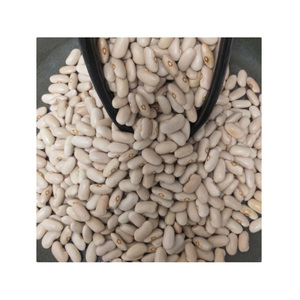 Productos Destacados: Frijoles Blancos envasados, 100% Orgánicos, Proceso Seguro, Empaque Personalizado - Product Image 3