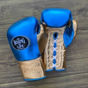 Gants de boxe RTS Premium en cuir, coutures robustes, No Boxing No Life, rembourrage absorbant les chocs, prise confortable, AI-BG-114 - Product Image 1