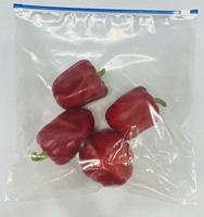 Sac de congélation en PE à fermeture éclair coulissante imprimé par gravure de haute qualité, 45-70 microns, compatible micro-ondes, pour fruits et légumes frais