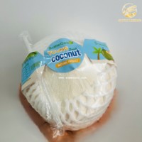 Thump Open Coconut - Vente en gros/OEM accepté, fabricant de boissons à base d'eau de coco biologique 100% pure de qualité supérieure en conserve
