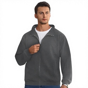 Chaqueta de Forro Polar Gris para Hombre, Cierre de Cremallera, Color Sólido Informal, Prenda de Otoño Transpirable, Tejido de Punto, Corte Regular, Cuello Camisero - Product Image 1