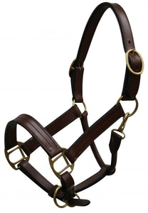 Cabestro para Caballo de Nailon y Cuero de Primera Calidad, Duradero, con Logotipo Personalizable, Colores Personalizables, Empaque Personalizado, Ajustable, el Más Vendido - Product Image 5