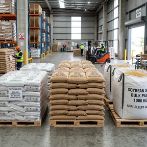 Semillas de Soja Premium Sin GMO de Alta Germinación para Cultivo Agrícola e Industrial - Product Image 6