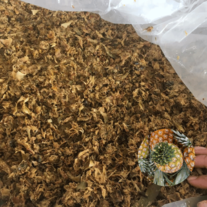 Peau d'ananas de qualité supérieure, la plus vendue, fournie par un fabricant vietnamien, à bas prix, emballée en sac de 20 kg - Product Image 1
