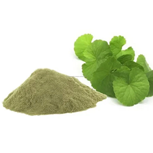 Polvo de Brahmi Seco Natural |   Bacopa Monnieri |   Potenciador de Memoria Herbal para el Alivio del Estrés |   99% de Pureza |   Marca CareQue |   Rajasthan - Product Image 3