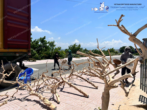 Perchoir pour oiseaux en bois de café naturel, branches de bois flotté pour oiseaux, fabriqué au Vietnam, durable, écologique, ornement pour animaux de compagnie · - Product Image 5