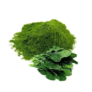 Poudre d'épinards pour soupes, assaisonnements, aliments santé et nutraceutiques - Product Image 4