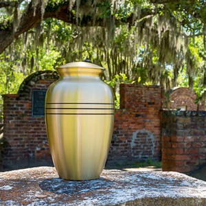 Handmade Metal Pet Cremation Urn Elegant Customizable Memorial for <b>Dogs</b> Cats American Style Engraved Designs Special <b>Remembrance</b> - Product Image 5