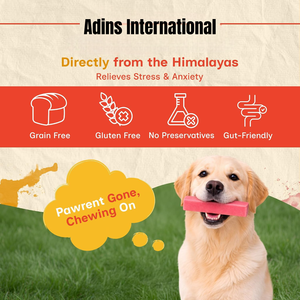 Friandises pour chiens au lait de yak de l'Himalaya, naturelles, riches en protéines, sans gluten, saveur fraise, saines, OEM ODM, marque privée, en vrac - Product Image 5