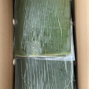 Hojas de Plátano Frescas de Vietnam, Empaquetadas en Bolsa, para Envolver Alimentos, Asar al Horno, Calidad Premium, Grado A, 1 kg, Mejor Precio - Product Image 1