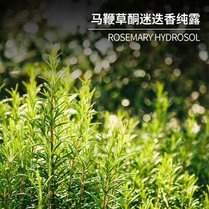 Rosemary Verbenone Hydrolat Rosemary Hydrosol Bio pour Cheveux Peau Visage 100% Pure <span class=keywords><strong>Eau</strong></span> Naturelle <span class=keywords><strong>de</strong></span> Fleur <span class=keywords><strong>de</strong></span> <span class=keywords><strong>Romarin</strong></span> 1kg - Product Image 4