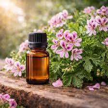 Aceite Esencial de Geranio Orgánico, Aceite Natural para el Tratamiento del Acné, Antienvejecimiento, Cuidado de la Piel y el Cabello, Aromaterapia, Aceite para Masajes, Proveedor al por Mayor - Product Image 4