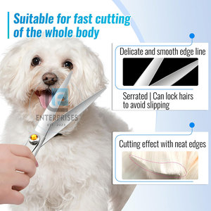 Ciseaux de toilettage pour animaux de compagnie en acier inoxydable de haute qualité et durables - Vente en gros, étiquette privée - Product Image 5