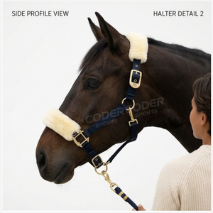 Harnais de cheval en nylon rembourré doux et réglable avec logo personnalisé, design élégant, pour la course d'endurance, avec boucles confortables en alliage de zinc - Product Image 3