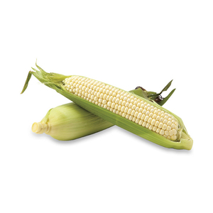 Venta al por Mayor de Maíz Blanco de Primera Calidad, Suministro a Granel, Grado Alimenticio, Listo para Enviar, Exportación a Todo el Mundo - Product Image 1