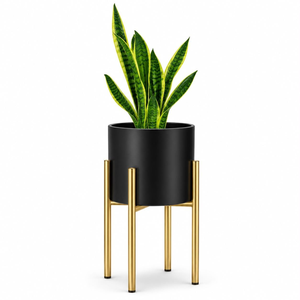 Support de plantes en métal pour sol avec bac à plantes pour salon, chambre, intérieur, extérieur, présentoir de fleurs, support de plantes décoratif moderne - Product Image 1