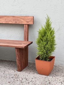 Banco Rústico de Madera con Respaldo, Hecho a Mano, Estilo Rústico, Acabado en Madera Natural, para Entrada, Jardín, Patio y Comedor - Product Image 6