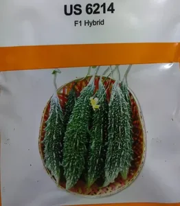 Semillas de Melón Amargo Híbrido Syngenta Vallav (250 Semillas) con Material de PE y Doble Capa para Invernaderos Agrícolas - Product Image 6