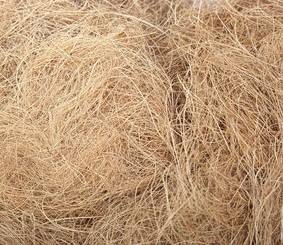 FIBRE DE NOIX DE COCO BON MARCHÉ DE VDELTA/NOUS CONTACTER: Ms.Laura + 84 918509071 - Product Image 4