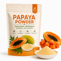 Private Label Papajapoeder Natuurlijk Fruitpoeder Voedingsmiddelenkwaliteit Groothandel Fabriekslevering voor Voedingssupplementmerken