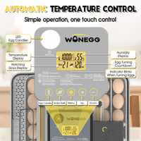 WONEGG 48H Incubadora automática de huevos de alta calidad para la venta