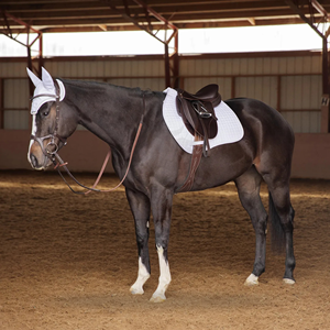 Horse Fly Veil Ear <b>Bonnet</b> Mesh Material Customized Equestrian Tools Protection for Riding Competition Training Use ET-HI-554 - Product Image 3