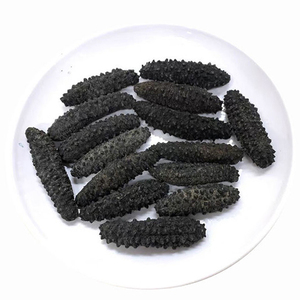 ปลิงทะเลแห้งคุณภาพสูงขายส่ง - Product Image 1