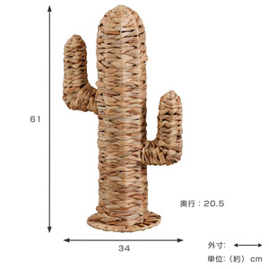 Meilleures ventes 2025 : Décoration de chambre en jacinthe d'eau tressée à la main CACTUS – Prix de gros - Product Image 5