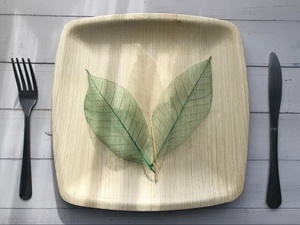Export Quality Areca Palm Leaf 10 Inches Square Party <b>Plates</b> for Sweets Chocolates & Evening <b>Plates</b> for Birthday Cake Pack of 25 - Product Image 1