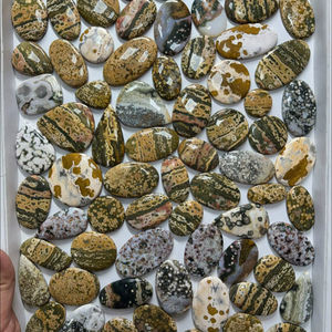 Lote de Piedras Preciosas de Jaspe Oceánico 100% Natural, Jaspe Marino de Alta Calidad, Piedras Sueltas Verdes, Jaspe Oceánico Increíble y Maravilloso - Product Image 1