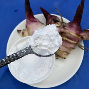 Poudre d'amidon de racine d'arrowroot biologique, meilleur prix, goût naturel pour les aliments et les ingrédients, emballée en sachet, provenant du Vietnam - Product Image 1