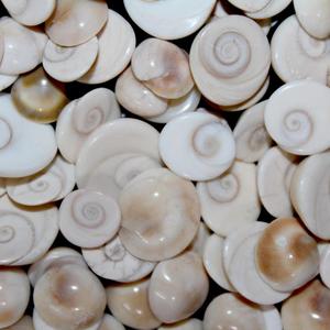 พลอยธรรมชาติทรงตาชีวาแบบคาโบชอง ขายส่งจำนวนมากตามน้ำหนัก สีน้ำตาล รับรองโดยบุคคลที่สาม สำหรับทำเครื่องประดับ - Product Image 2