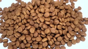 Alimento Seco para Perros de Marca Privada OEM ODM, Croquetas Completas y Equilibradas, Alto en Proteínas, 100% Natural, Sin Granos, con Ingredientes Limitados, para Piel Sensible - Product Image 5