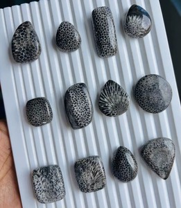 Vente en gros de cabochons de corail noir fossile naturel de haute qualité – Pierre précieuse de corail agatisé pour bijoux féminins - Product Image 5