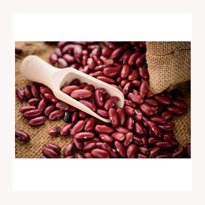 Fournisseur en gros de haricots rouges de qualité supérieure à vendre à prix avantageux. Haricots rouges de qualité supérieure. - Product Image 4
