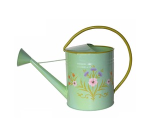 Arrosoir en métal d'inspiration rustique américaine pour plantes d'intérieur et décoration de jardin extérieur - Product Image 6