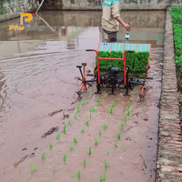 Haute qualité 4/5/6 rangées manuel paddy plantation riz transplanteur 20cm 24cm ventes directes d'usine