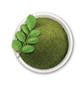 ขายดีธรรมชาติ 100% คุณภาพสูงมะรุมบริสุทธิ์คุณภาพการต้านไวรัสและต่อต้านการอักเสบผงสารสกัดจากมะรุม - Product Image 5